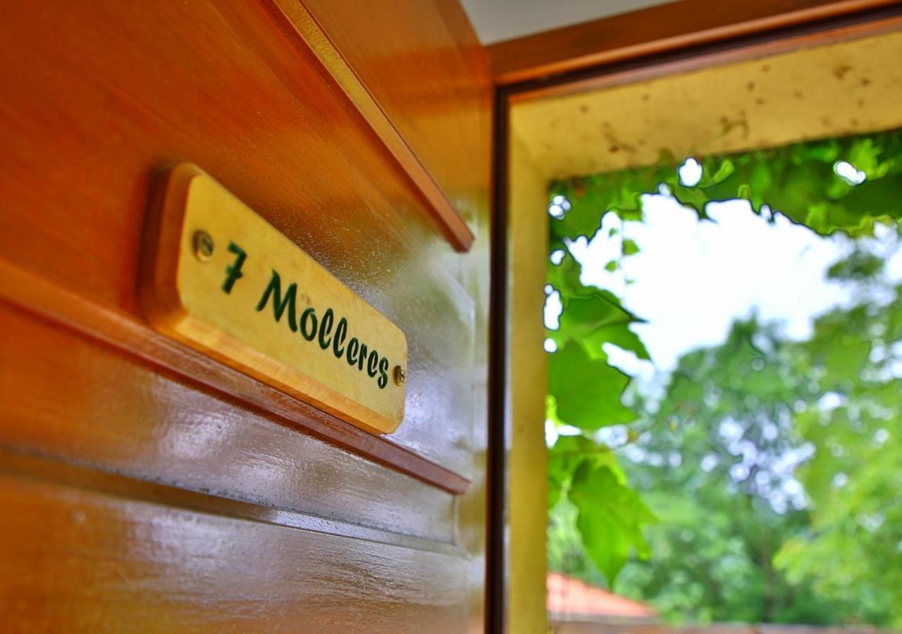 Sahorre Beau Vallon - Gite Et Chambres D'Hotes Pyrenees-Mediterranee - Pays Catalan المظهر الخارجي الصورة